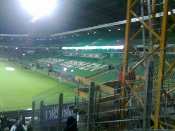 Werder Bremen - Austria Wien - 