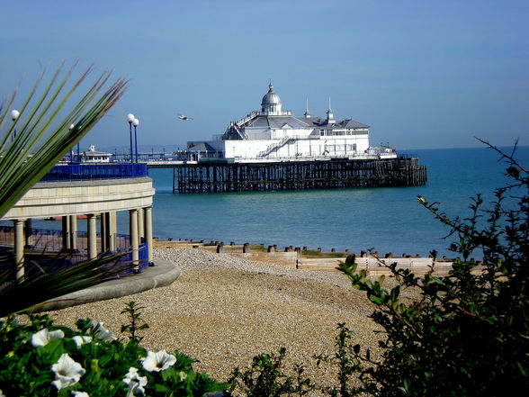 Sprachreise Eastbourne - 