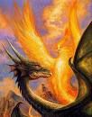 Drachen - 