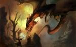 Drachen - 