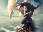 Drachen - 