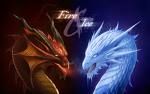 Drachen - 