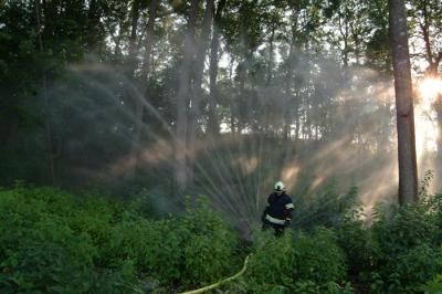 Feuerwehr Einsätze & Übungen - 