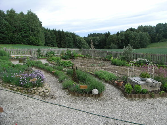 Kräuter-Garten Wimmer - 