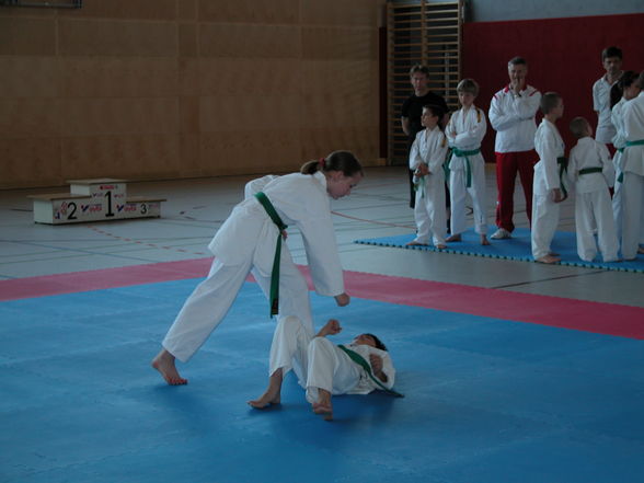 Taekwondotechnikmeisterschaft Marchtrenk - 