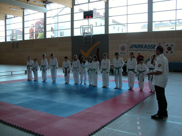 Taekwondotechnikmeisterschaft Marchtrenk - 