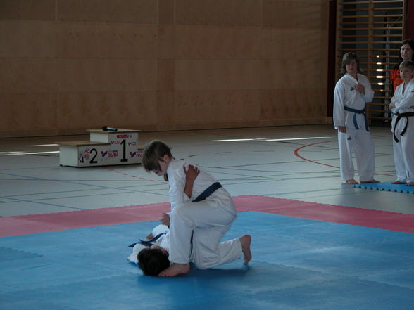 Taekwondotechnikmeisterschaft Marchtrenk - 