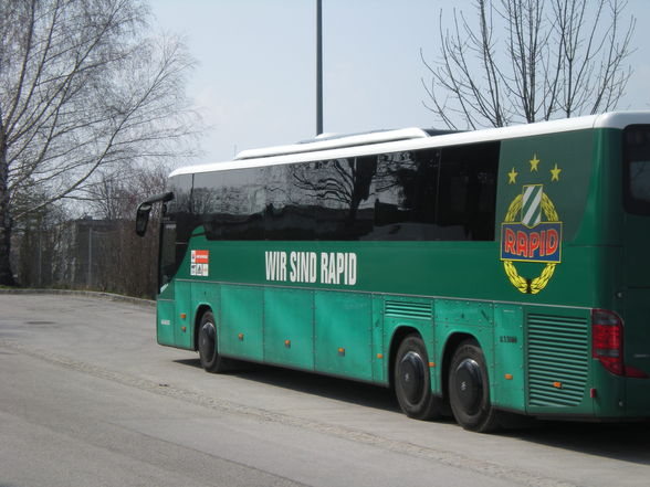 mein bruder (rapid wien) - 