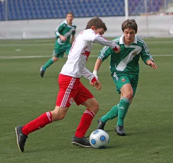 mein bruder (rapid wien) - 