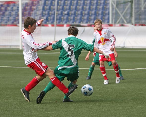 mein bruder (rapid wien) - 