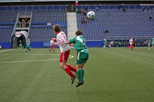 mein bruder (rapid wien) - 