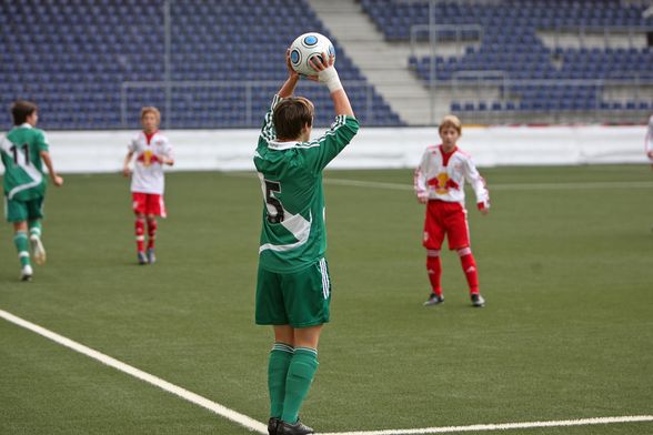 mein bruder (rapid wien) - 