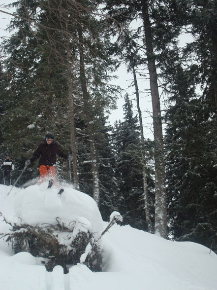 Skiing 2008/2009 - 