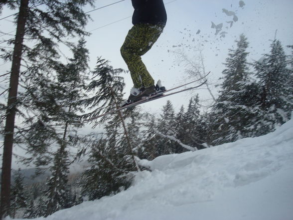 Skiing 2008/2009 - 