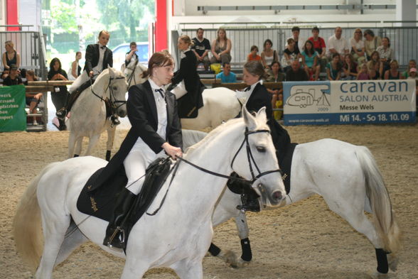 PFERD WELS 2009 - 