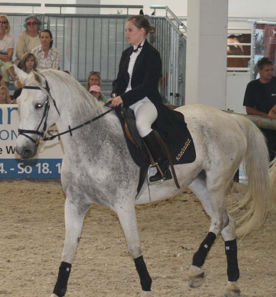 PFERD WELS 2009 - 