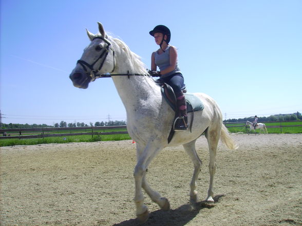 Reiten & im Stall - 