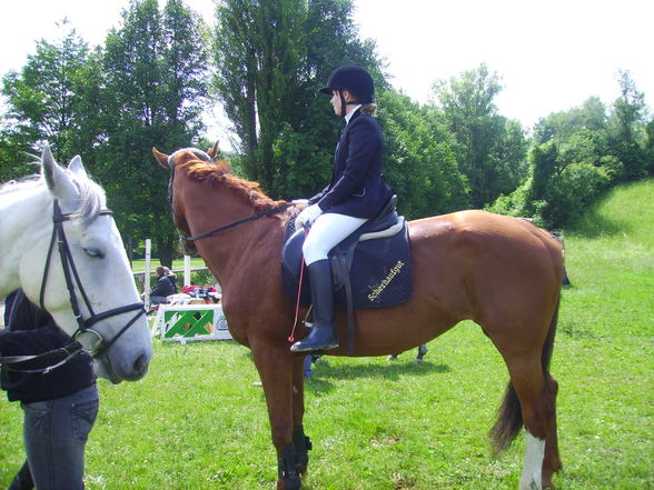 Reiten & im Stall - 