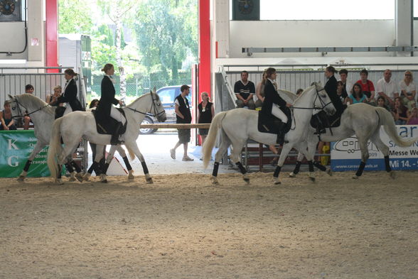 Reiten & im Stall - 