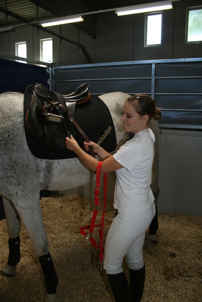 Reiten & im Stall - 