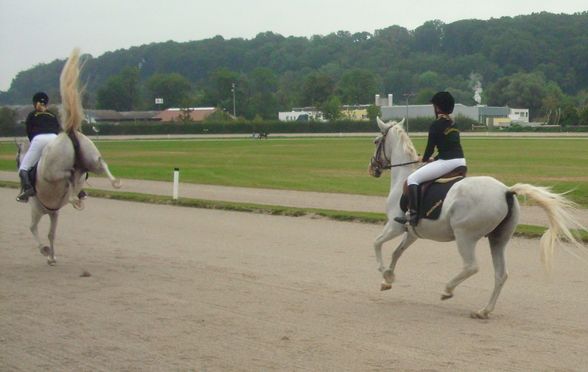 Reiten & im Stall - 