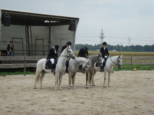 Reiten & im Stall - 