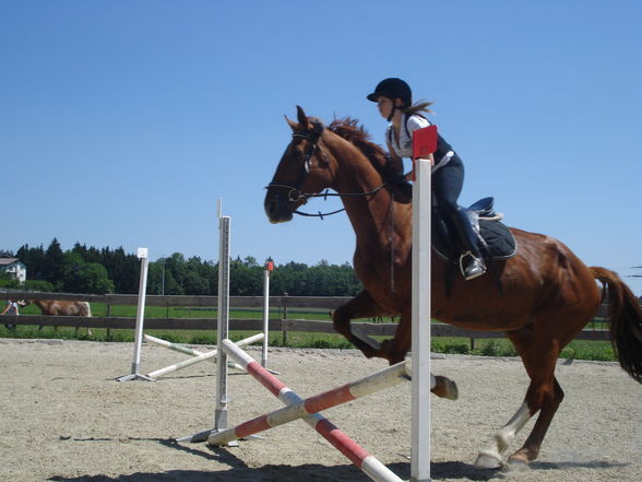 Reiten & im Stall - 