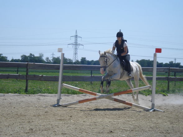 Reiten & im Stall - 