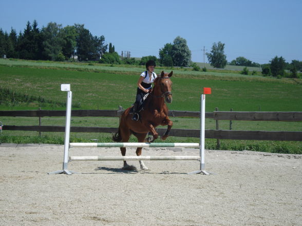 Reiten & im Stall - 