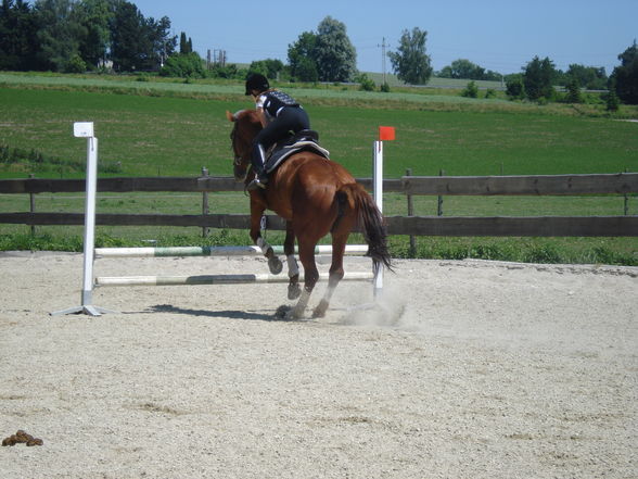 Reiten & im Stall - 