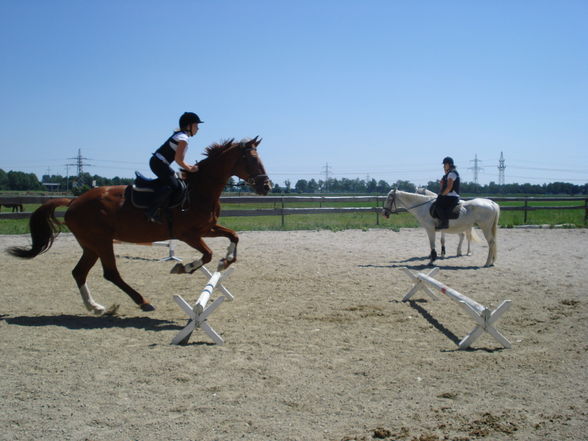 Reiten & im Stall - 