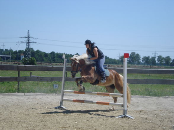 Reiten & im Stall - 