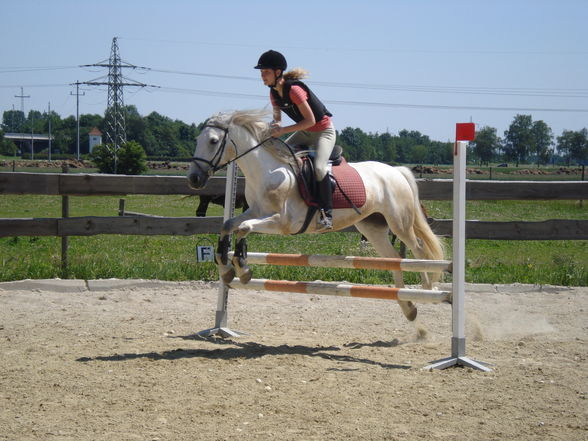 Reiten & im Stall - 