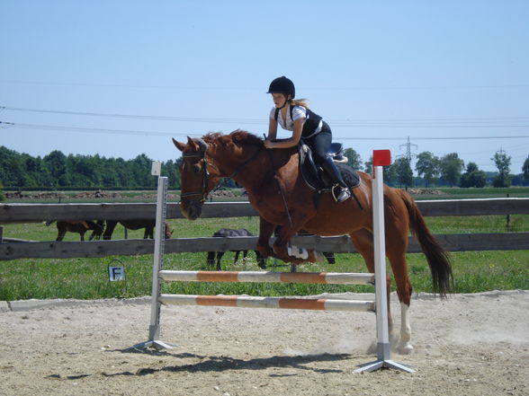 Reiten & im Stall - 