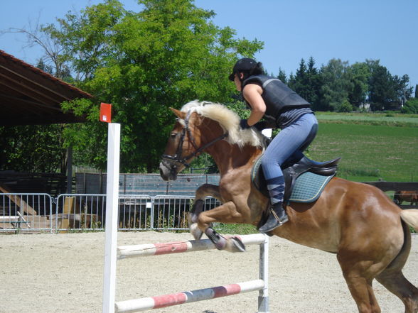 Reiten & im Stall - 