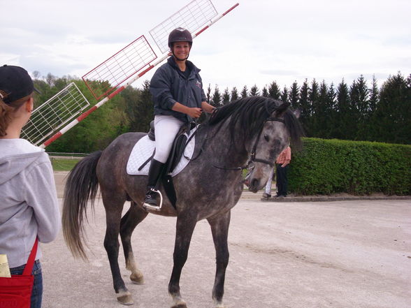 Reiten & im Stall - 