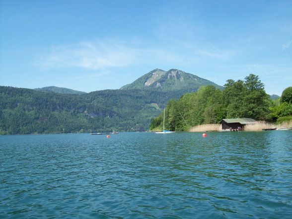 Fischen am Wolfgangsee - 