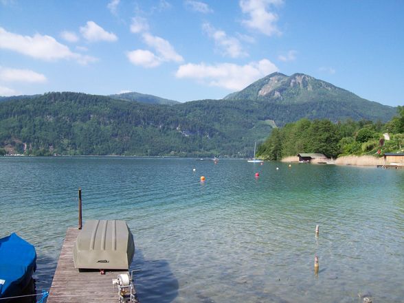 Fischen am Wolfgangsee - 