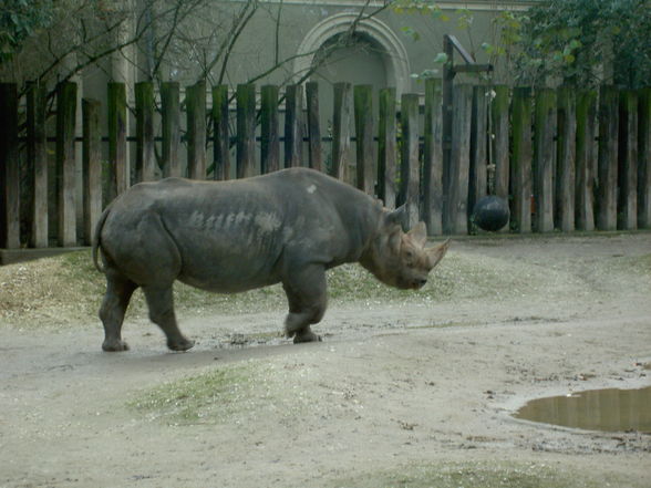 Besuch bei Gerhard in Düsseldorf  - 