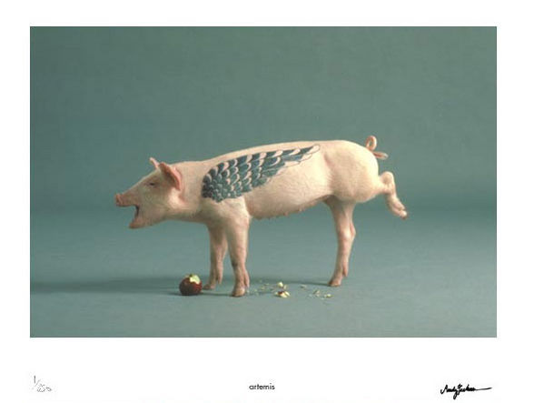 tattooed pigs - 