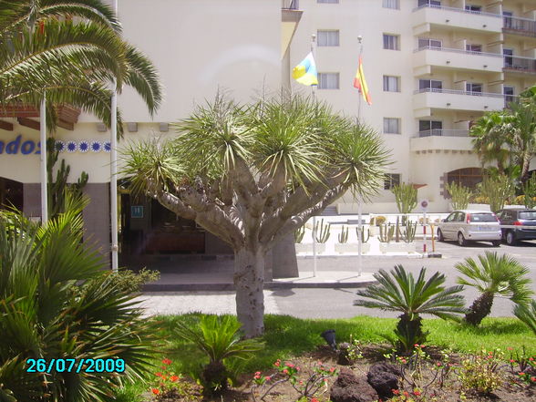 Gran Canaria 2009 - 