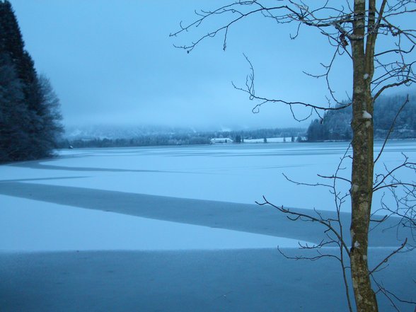 Weihnachten 2006 - 