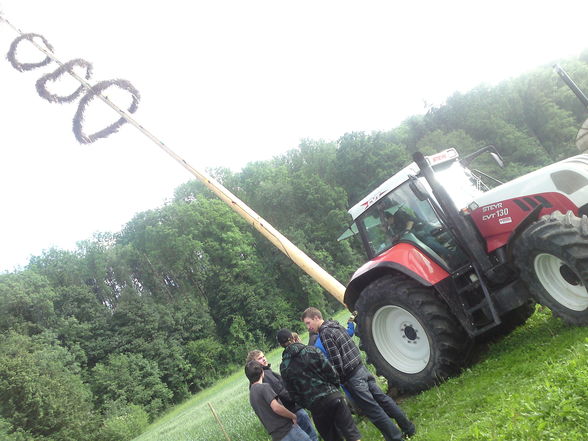 Maibamschmeisn beim Zöbl - 