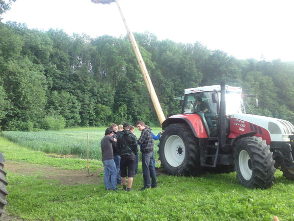 Maibamschmeisn beim Zöbl - 