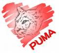 PuMa - 