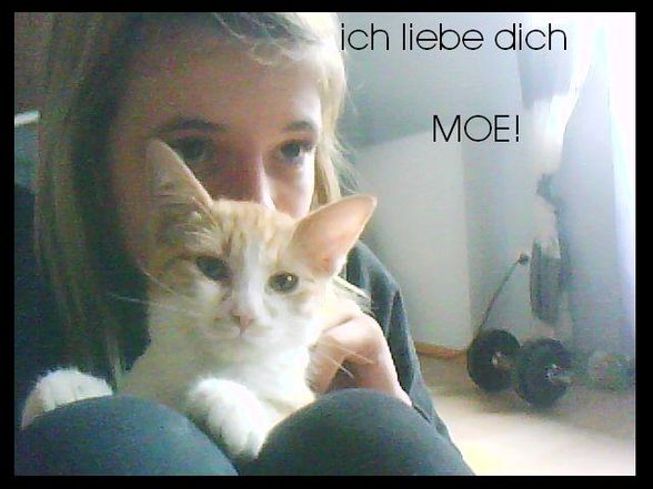 *-* meins - 