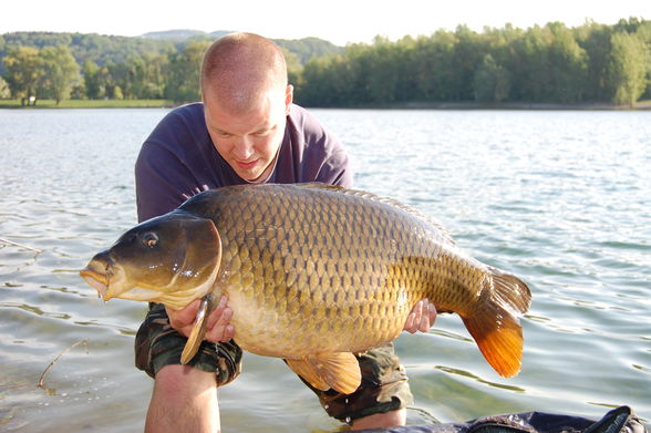 Karpfenfischen - 