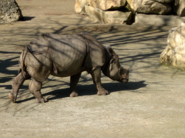 Tiergarten Schönbrunn - 