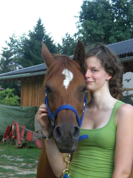 horses,friends and me - 