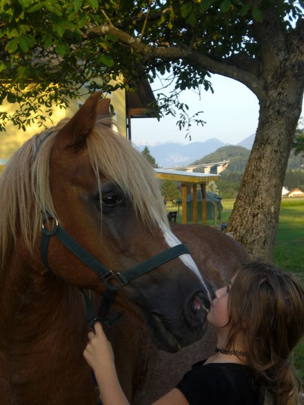 horses,friends and me - 